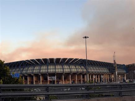 (ברני ארדוב)