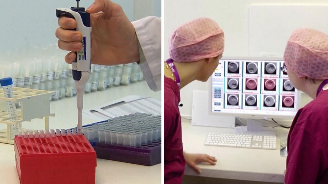 פוריות פוריות