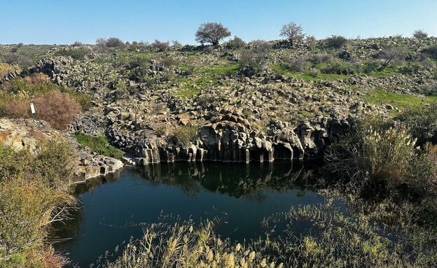 בריכות הזוויתן בריכה
