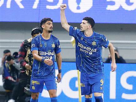 תורג`מן כבש ראשון (צילום: אלן שיבר)