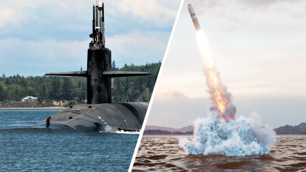 הטיל והצוללת