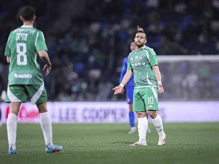 (מאור אלקסלסי) (מאור אלקסלסי)