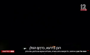 204zirot_vtr2_n20250311_v1 (צילום: חדשות)