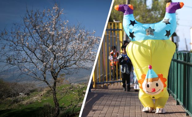 תחזית פורים (צילום: דוד כהן | מיכאל גלעדי, Flash 90)