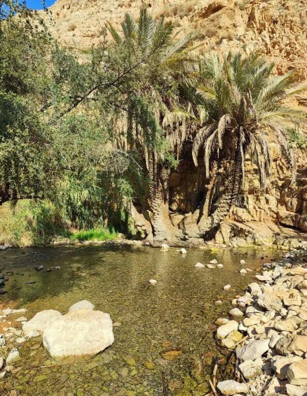 נחל ייטב עוג'א - הנביעה נחל ייטב עוג'א - הנביעה