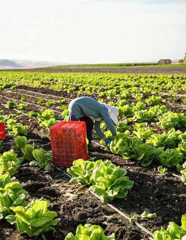סיפור הצלחה ישראלי סיפור הצלחה ישראלי