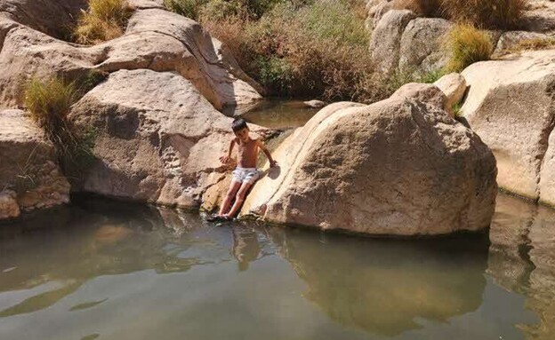 עינות פצאל עינות פצאל