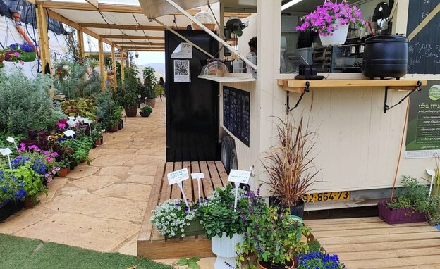 שפת המדבר שפת המדבר