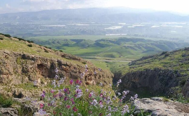 תלכיד פיראן תלכיד פיראן