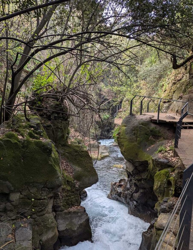 הבניאס הבניאס