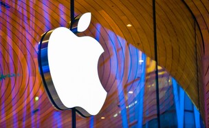 אפל (צילום: i viewfinder, shutterstock)