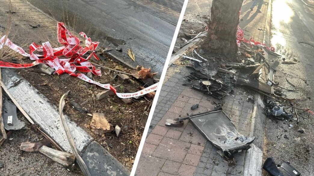 זירת הירי בחולון, וסימני ההתנגשות בעץ