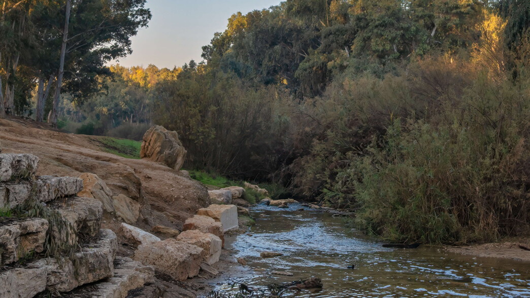 פארק נחל שרשרת