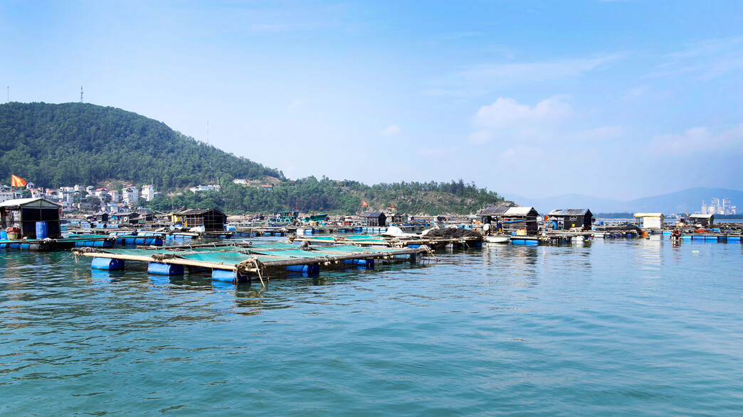 וייט האי כפר צף קאט בה וייטנאם