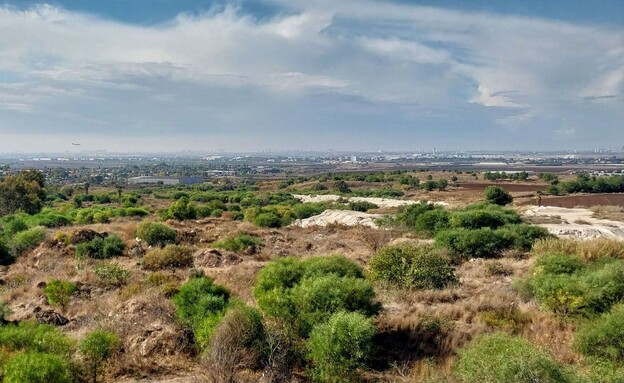 תצפית על נתב"ג תצפית על נתב"ג