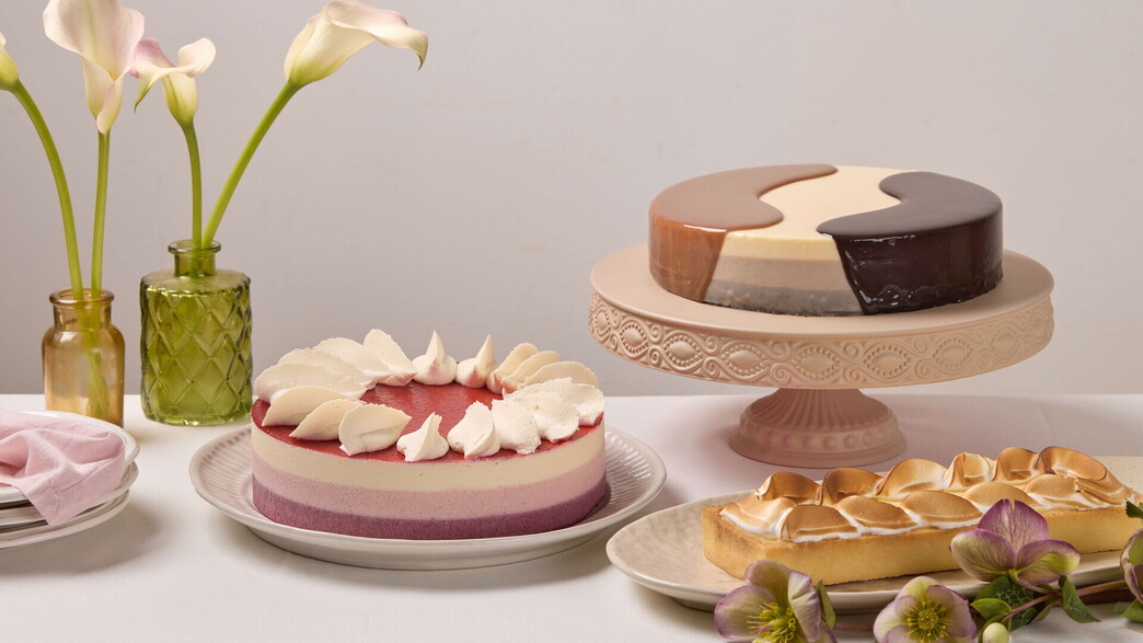 בוטיק סנטרל - קולקצייה כשרה לפסח 2025