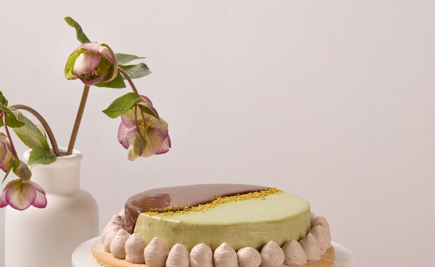 עוגת בלרינה שוקולד פיסטוק - בוטיק סנטרל כשל"פ עוגת בלרינה שוקולד פיסטוק - בוטיק סנטרל כשל"פ