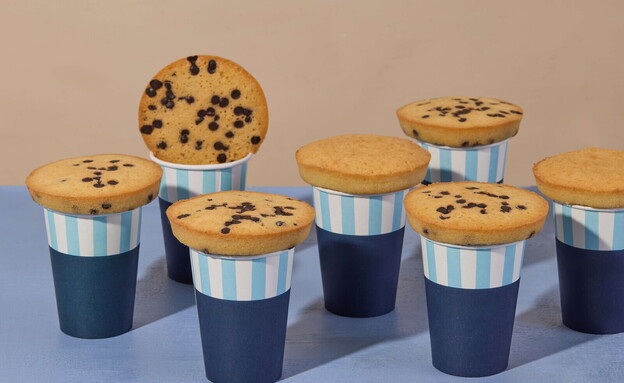 עוגית פניננסייר בקוטר 12 סמ' עוגית פניננסייר בקוטר 12 סמ'