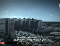 20harish_vtr2_n20250326_v1 (צילום: חדשות)