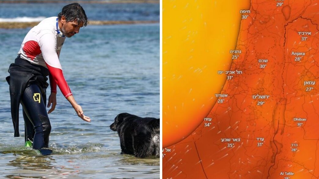 שרב (צילום: Windy.com | דור פזואלו, פלאש 90)
