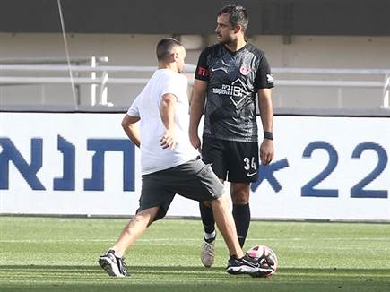 (אודי ציטיאט)