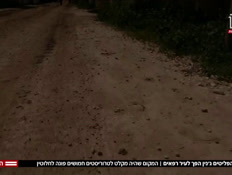 20jeninnn_vtr2_n20250406_v1 (צילום: חדשות)