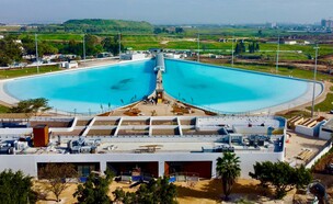 SRF PARK TLV (צילום: שחר זילברשטיין)