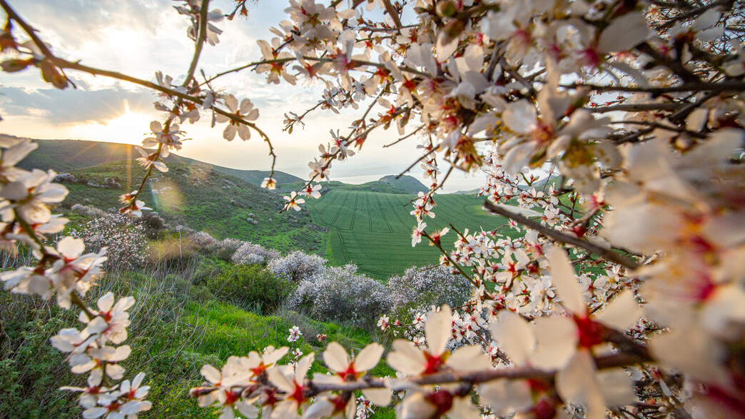 תחזית מזג האוויר - אביב