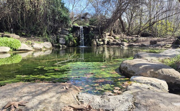 נחל שניר היפיפה (החצבאני) 