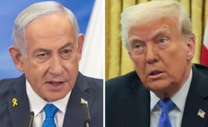 בנימין נתניהו ודונלד טראמפ (צילום: חדשות)