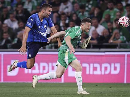 (מאור אלקסלסי) (מאור אלקסלסי)