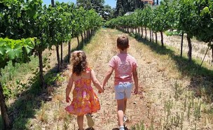 יקב בן נון (צילום: באדיבות נתי)