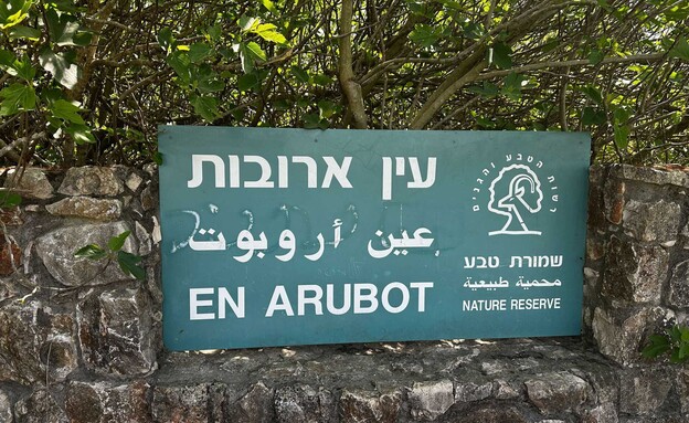 שלט עין ארובות שלט עין ארובות