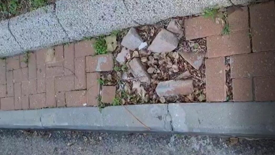 הבור שצילם אחיינה של התובעת למחרת התאונה הבור שצילם אחיינה של התובעת למחרת התאונה