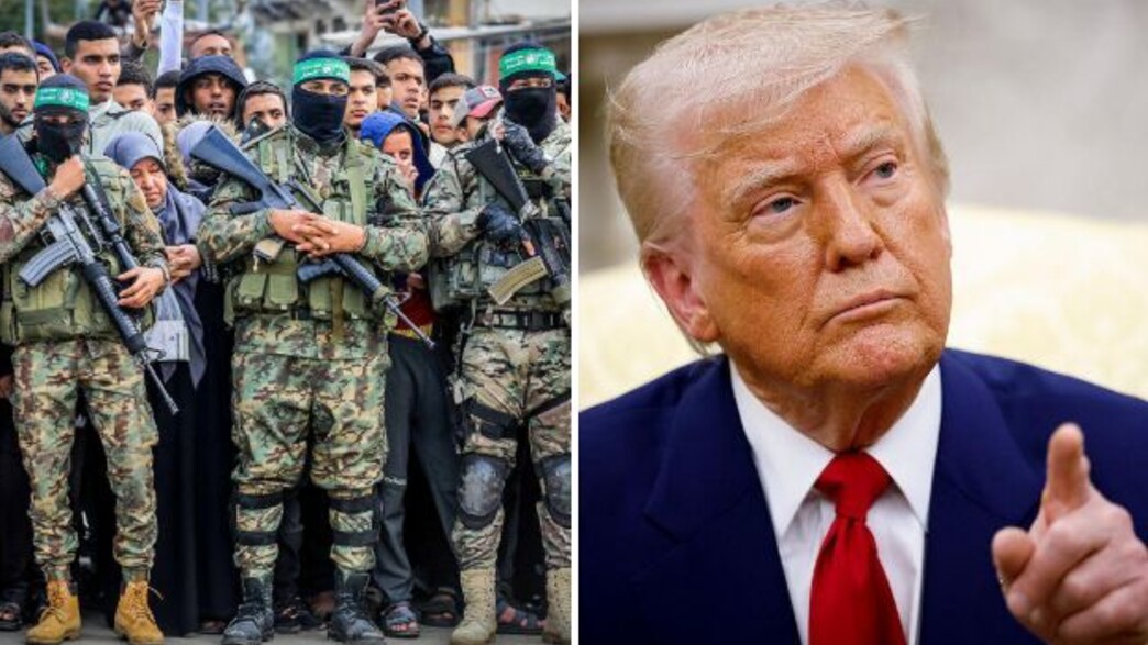 טראמפ, מחבלי חמאס