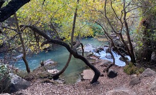 הטנק הסורי (צילום: נעמה מנספלד, רשות הטבע והגנים)