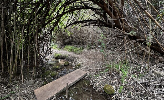 מסלול הליכה