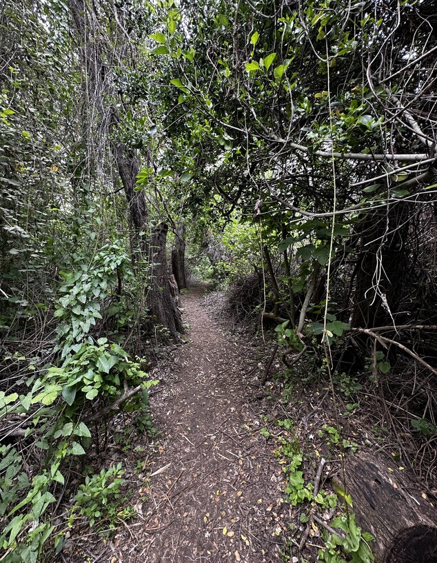 מסלול עמק הנהר הנעלם מסלול עמק הנהר הנעלם