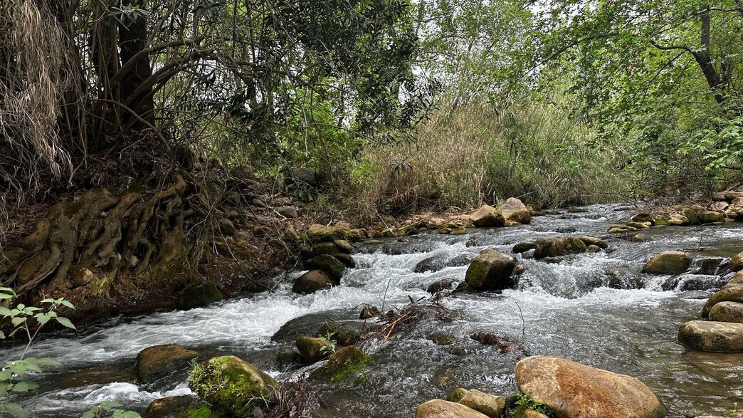 נחל חצבאני - מסוכן לרחצה מהגשר הרומי עד השפך לירדן, (ארכיון)