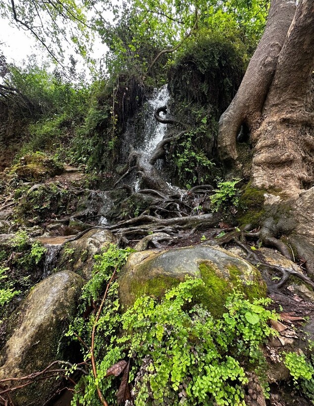 מפל נחל חצבאני שניר מפל נחל חצבאני שניר