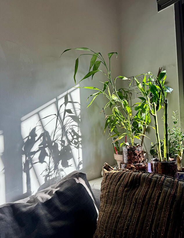 דירה אופיר חתונמי (צילום: אופיר חייט) דירה אופיר חתונמי (צילום: אופיר חייט)