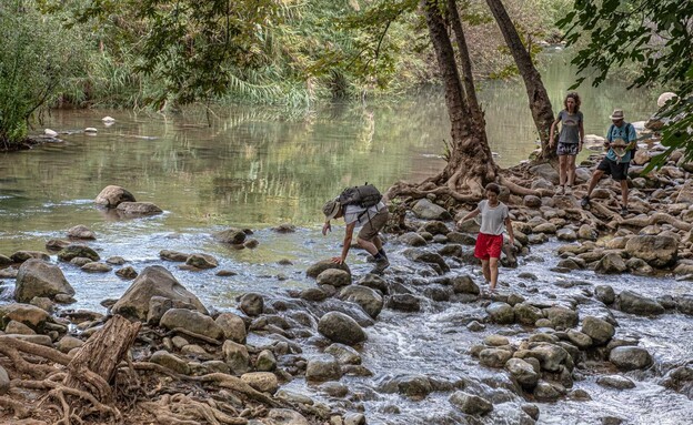 מטייליים חצבאני שניר (צילום: MoLarjung, shutterstock)