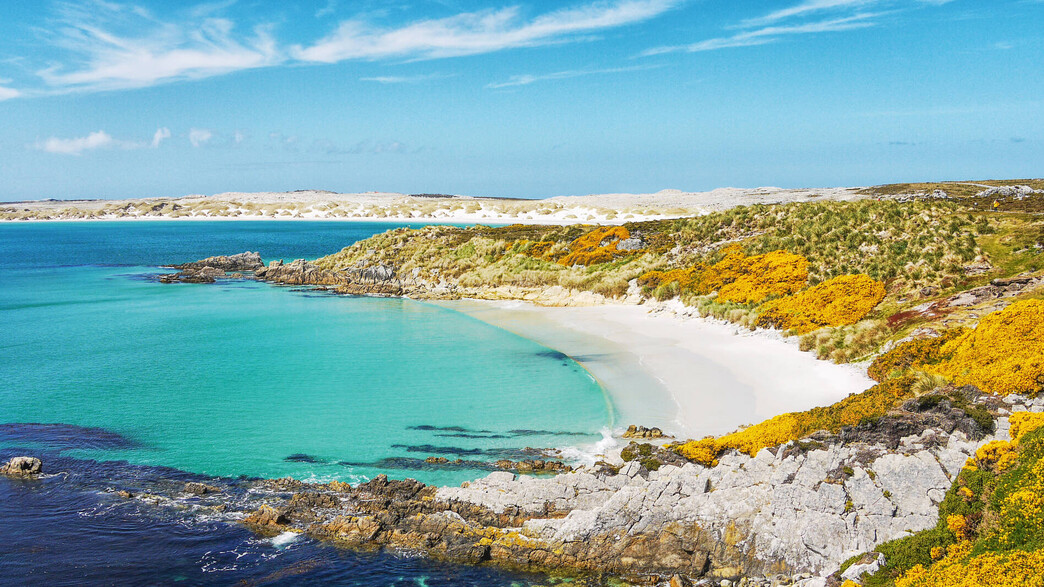 חוף איי פוקלנד חוף איי פוקלנד