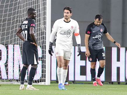 לא ככה הם דמיינו שזה יראה (אלן שיבר)