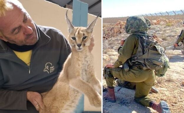 כוח בגבול והחיה הנדירה (צילום: דובר צה"ל, רשות הטבע והגנים)