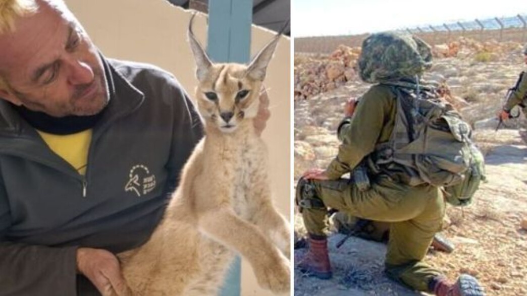 כוח בגבול והחיה הנדירה כוח בגבול והחיה הנדירה