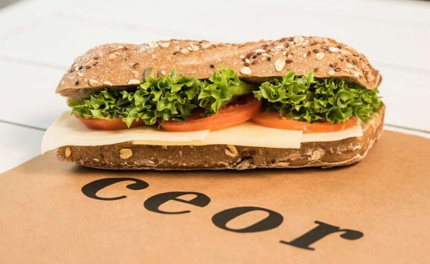 שאור בייקרי 4 שאור בייקרי 4