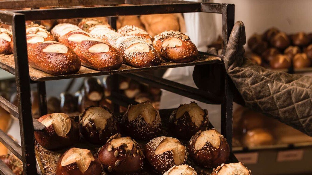 שאור בייקרי שאור בייקרי