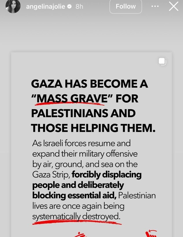 אנג'לינה ג'ולי נגד ישראל (צילום: instagram)
