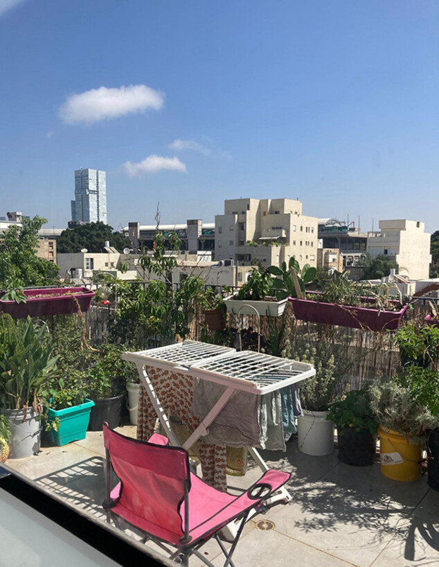 נועה לוי מרפסת (צילום: נהר בינור) נועה לוי מרפסת (צילום: נהר בינור)